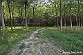 VBS_5468 - C'è un mare di velluto verde! E tu che sognavi di andare lontano... Quanta meraviglia, quì!